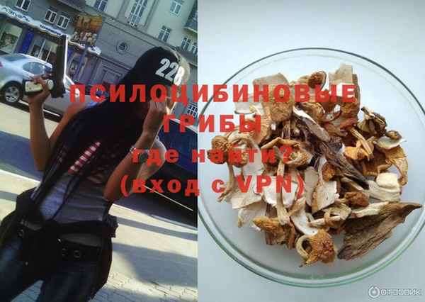 круглые Абаза