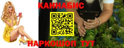 спайс Кингисепп