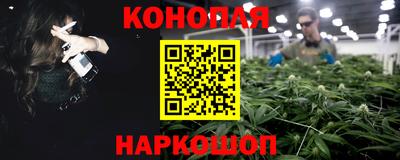 спайс Кингисепп