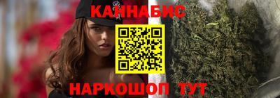 спайс Кингисепп