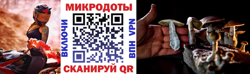 OMG как зайти  как найти закладки  Кудымкар  Псилоцибиновые грибы MAGIC MUSHROOMS 
