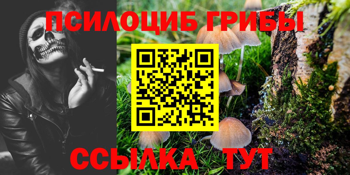 Галлюциногенные грибы Psilocybine cubensis Кудымкар